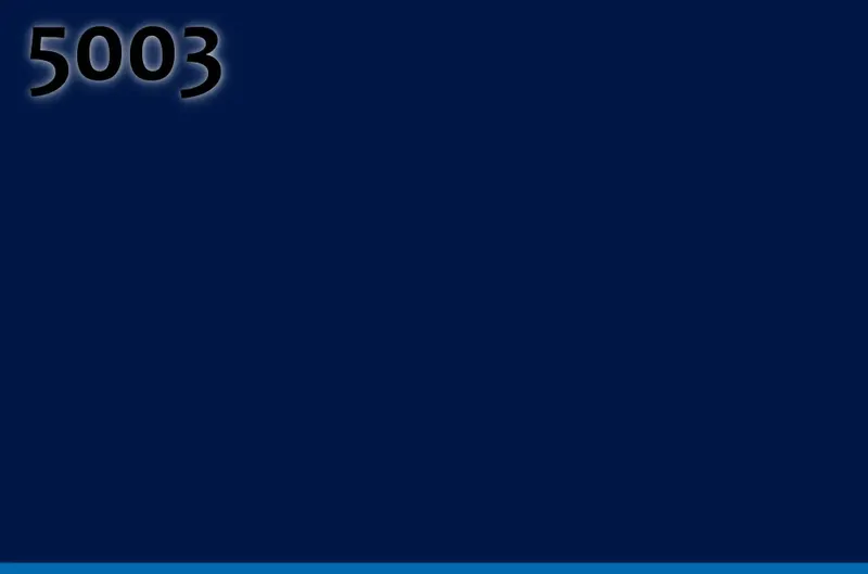 RAL 5003
