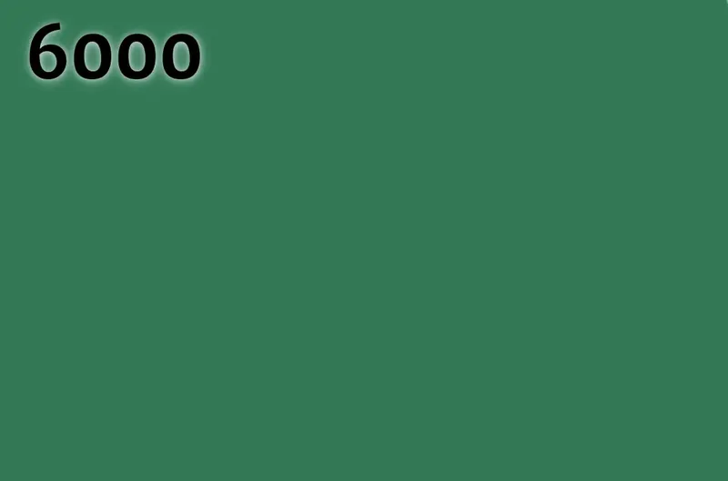 RAL 6000