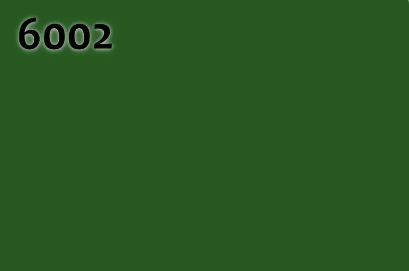 RAL 6002