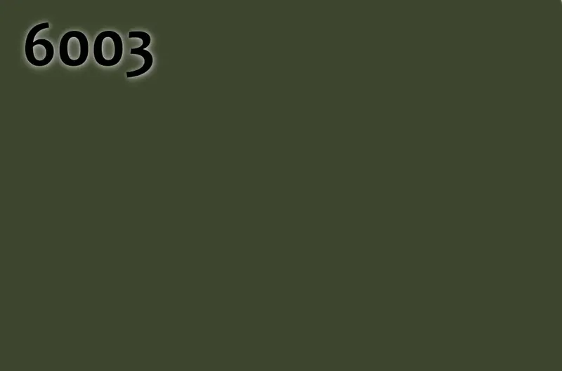 RAL 6003