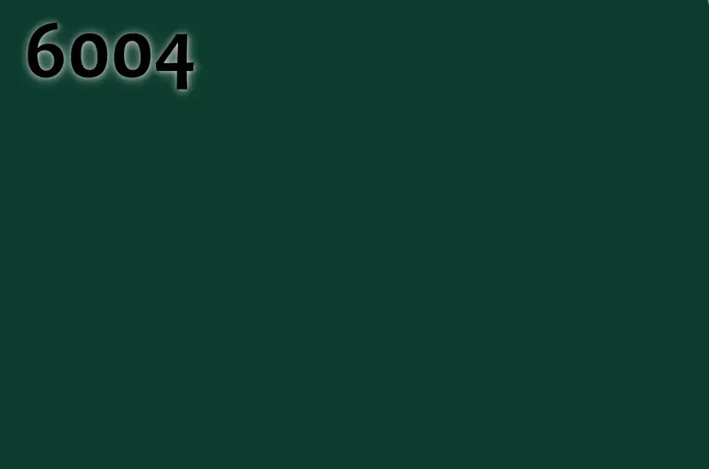 RAL 6004