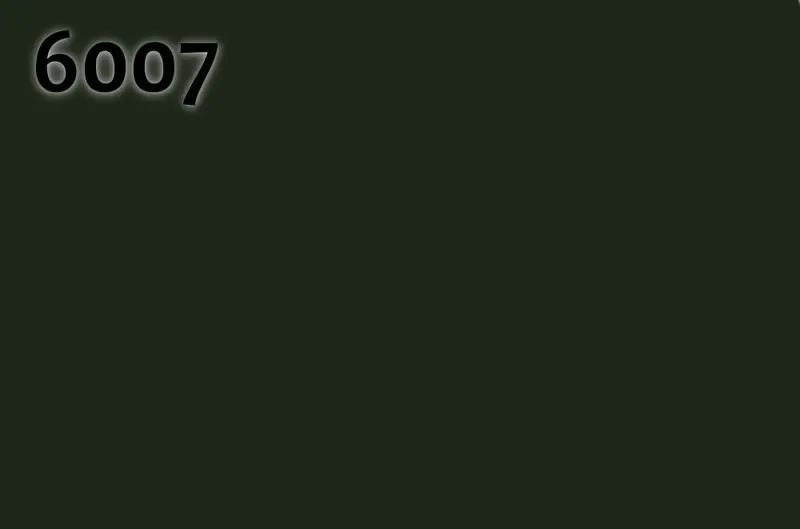RAL 6007