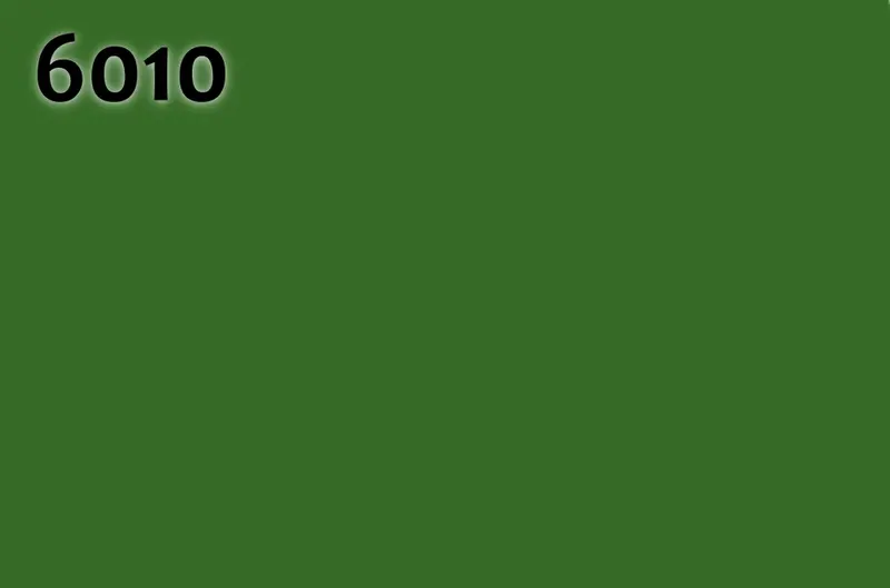 RAL 6010