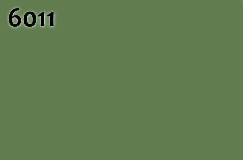 RAL 6011