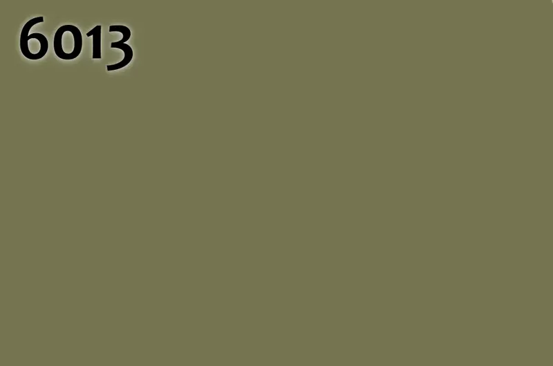 RAL 6013