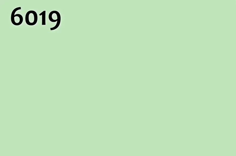 RAL 6019