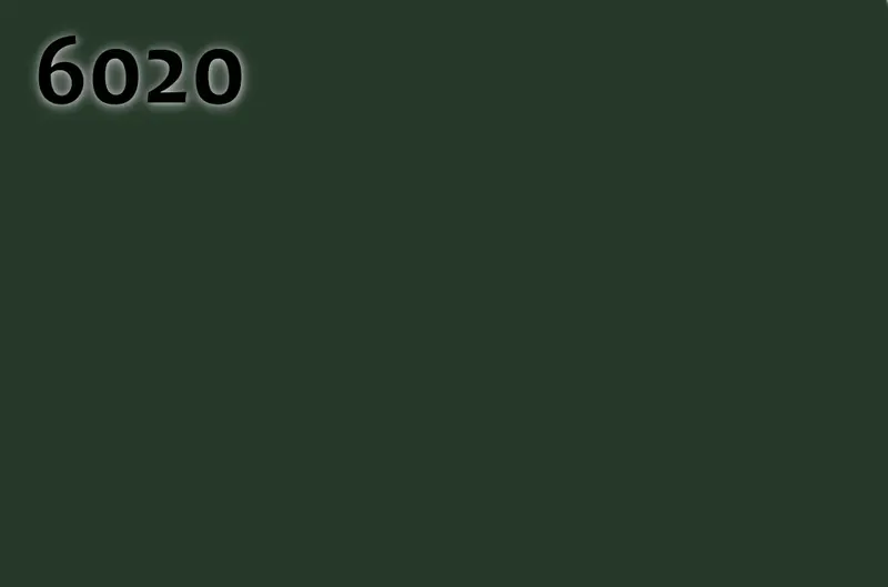 RAL 6020
