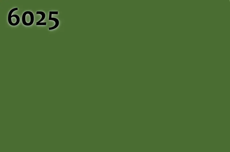 RAL 6025
