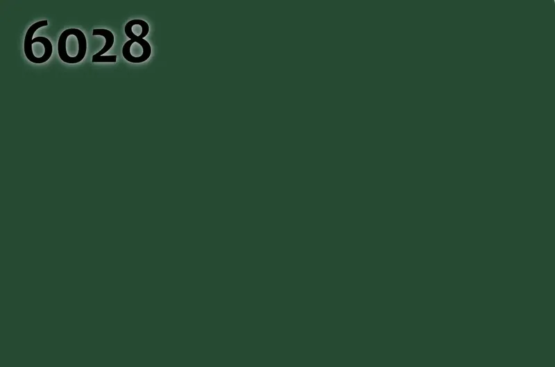 RAL 6028