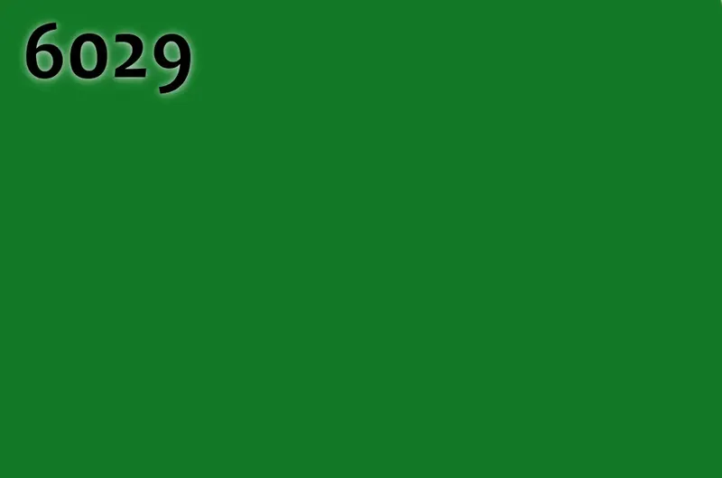 RAL 6029