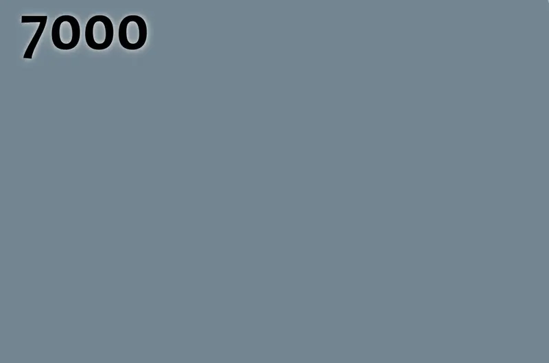 RAL 7000