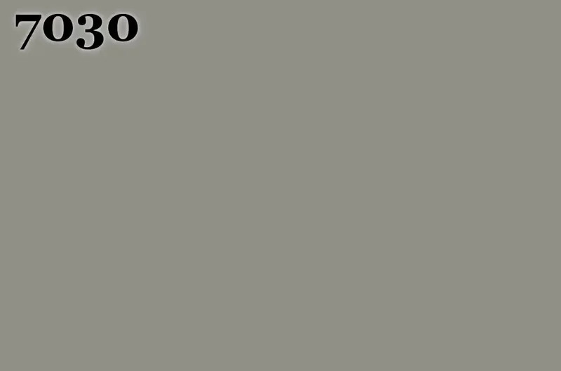 RAL 7030