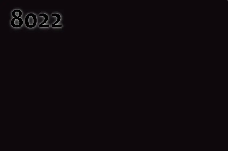 RAL 8022