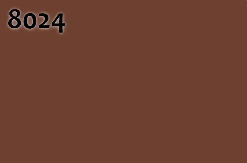 RAL 8024