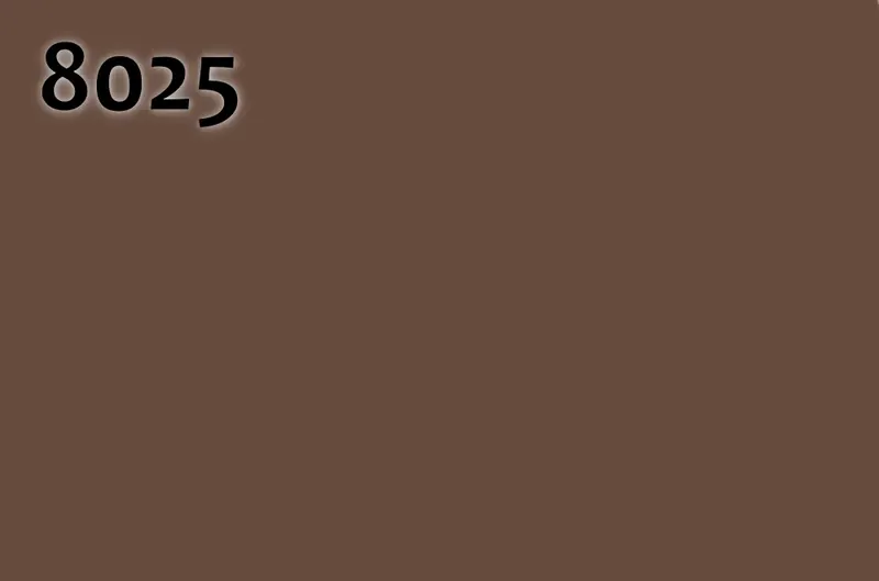 RAL 8025