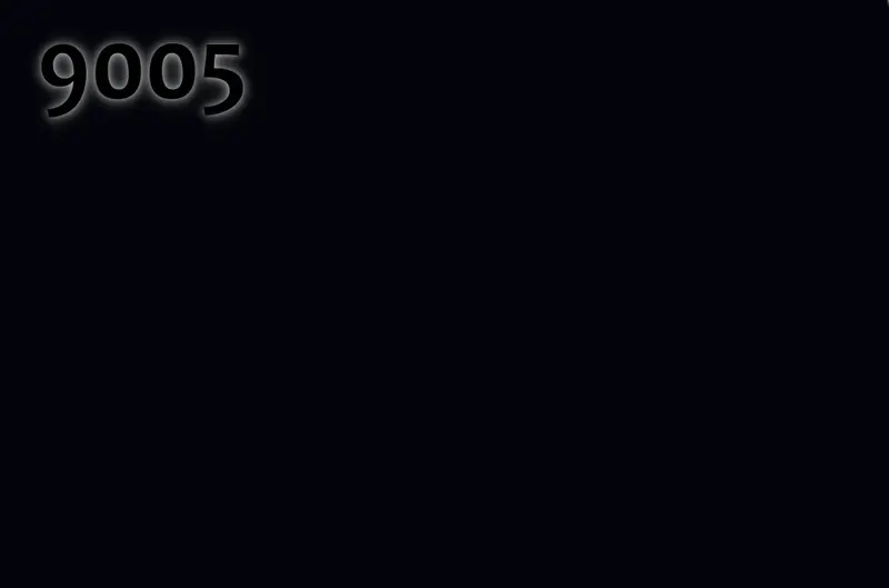 RAL 9005
